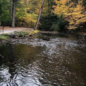 Meet your Posher, Serene